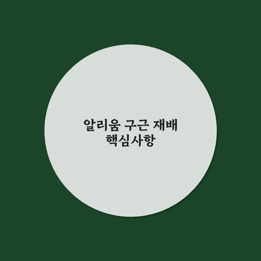 알리움 구근 선택과 관리 5가지 체크포인트 분석