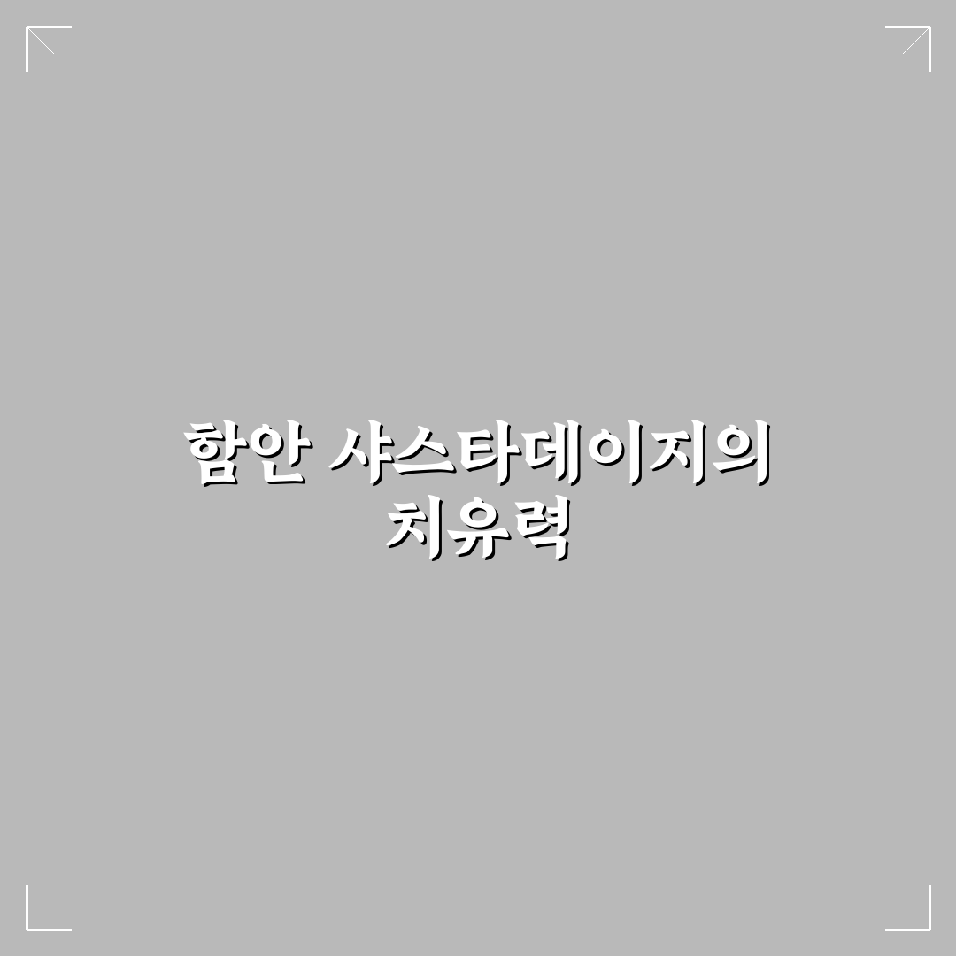 함안 악양생태공원 샤스타데이지 개화 시기와 관리법 비교 분석