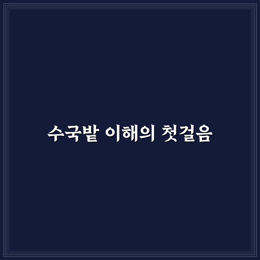 답다니 수국밭 선택 가이드와 주요 비교 포인트 5가지