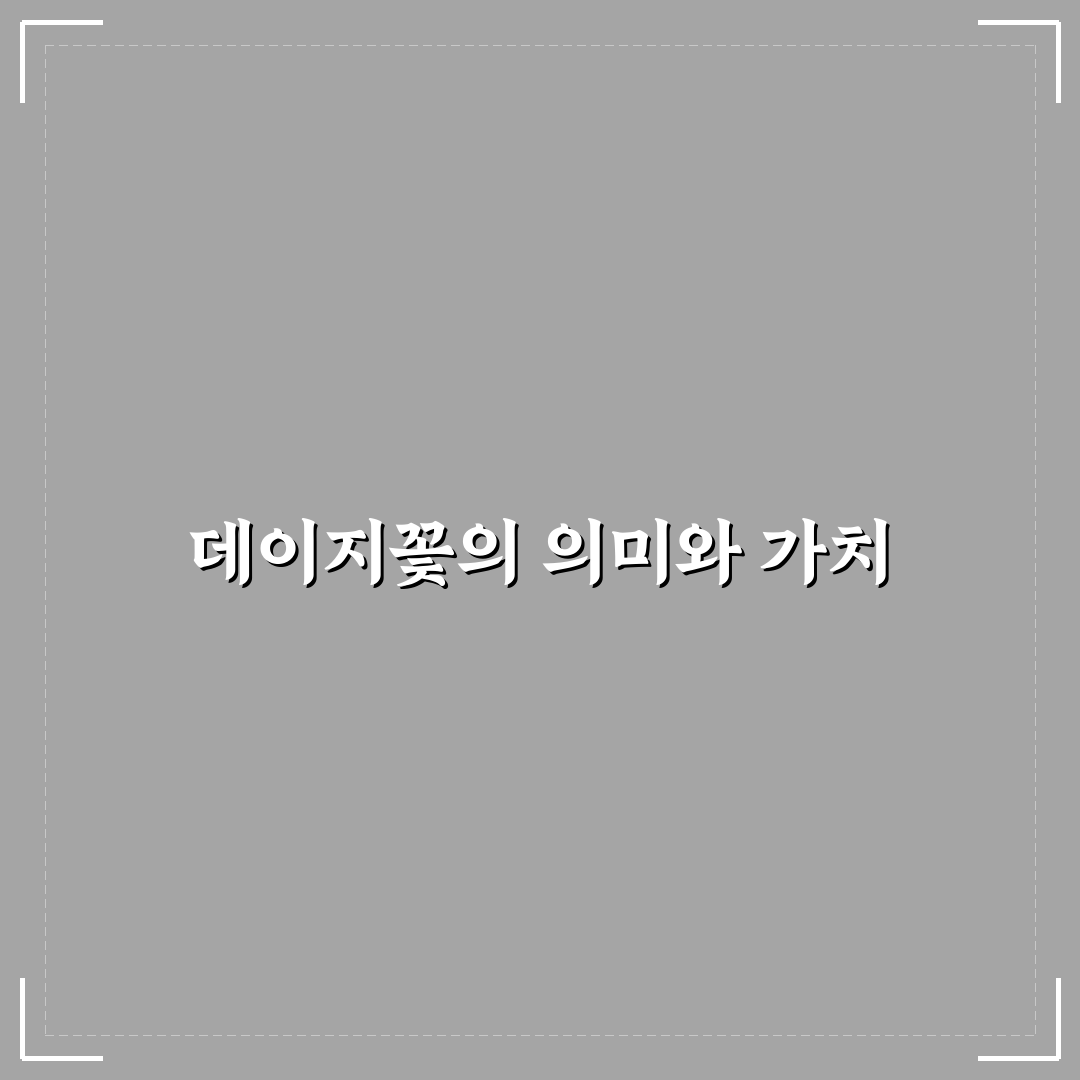 데이지꽃 이대 방문 전 꼭 확인할 5가지 비교 기준