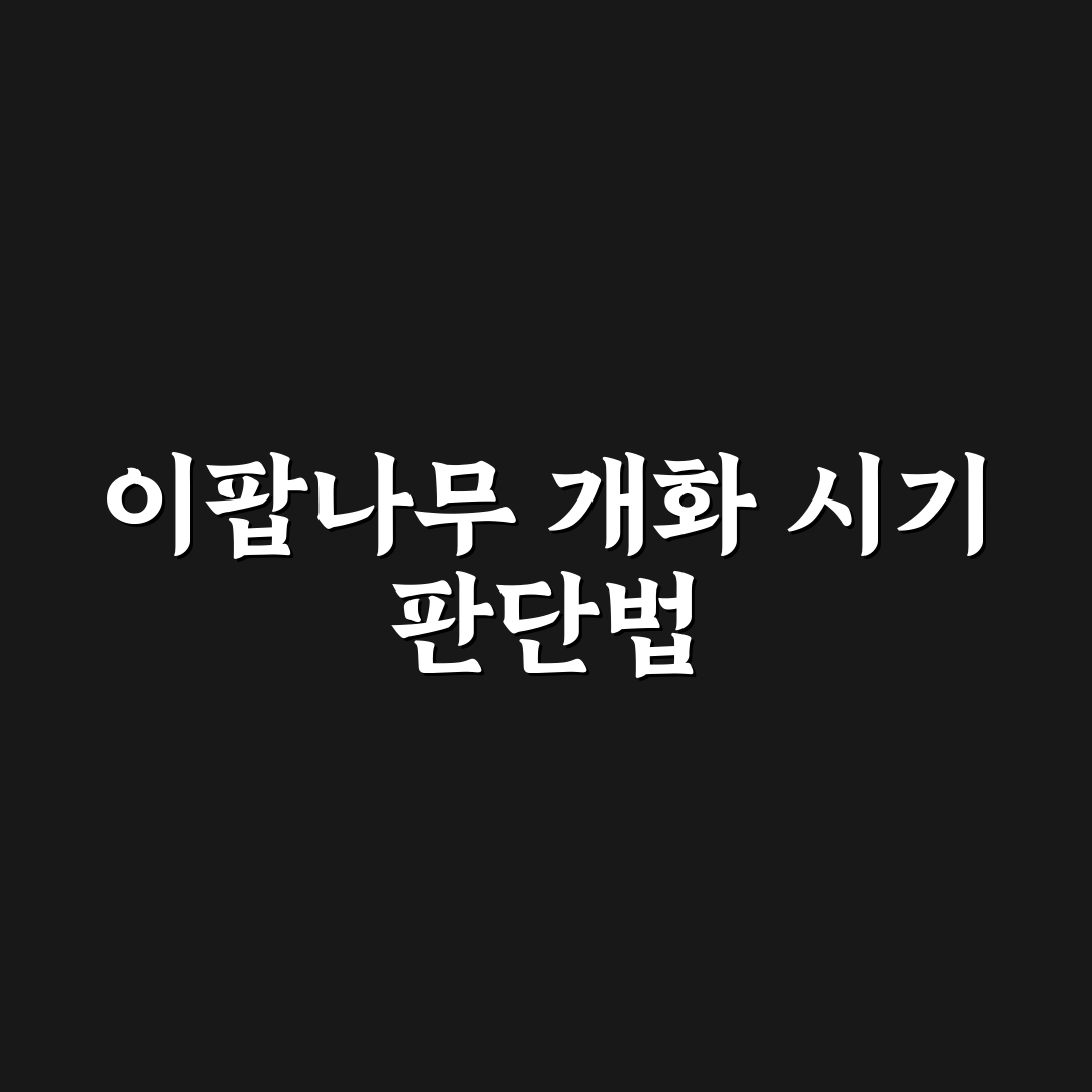 이팝나무 개화시기 비교와 시기별 특징 총정리