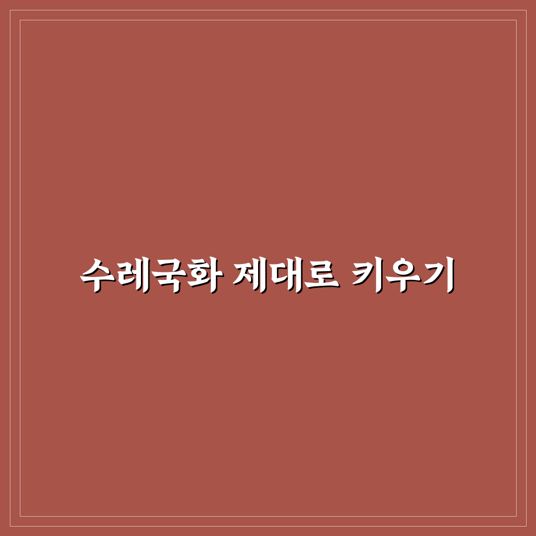 수레국화 키우기 가이드와 필수 체크포인트 총정리