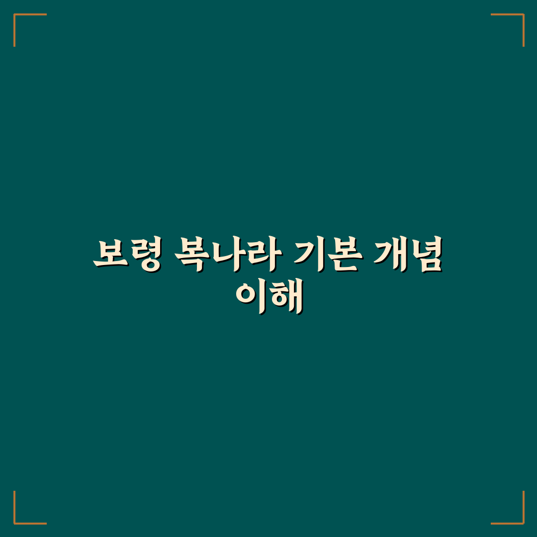 보령 복나라 관광지별 핵심 포인트 5가지 비교 분석