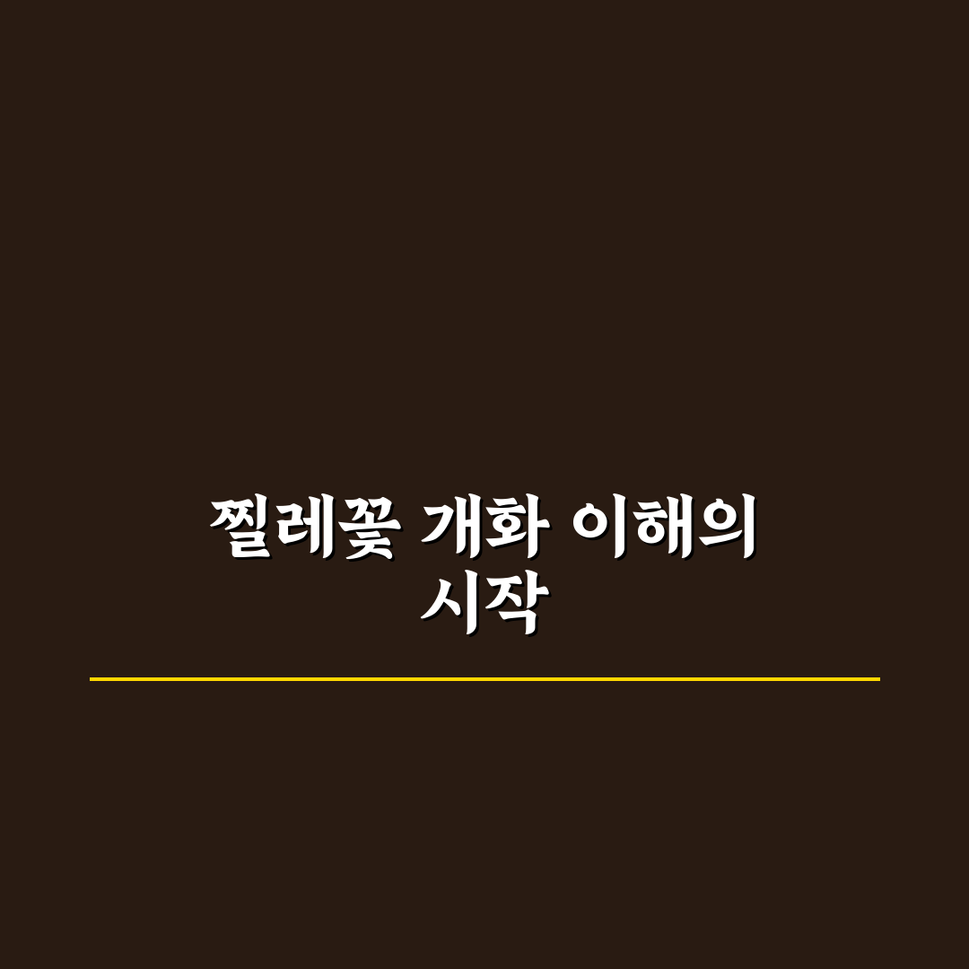 찔레꽃피는시기 5가지 기준별 비교와 체크포인트 총정리