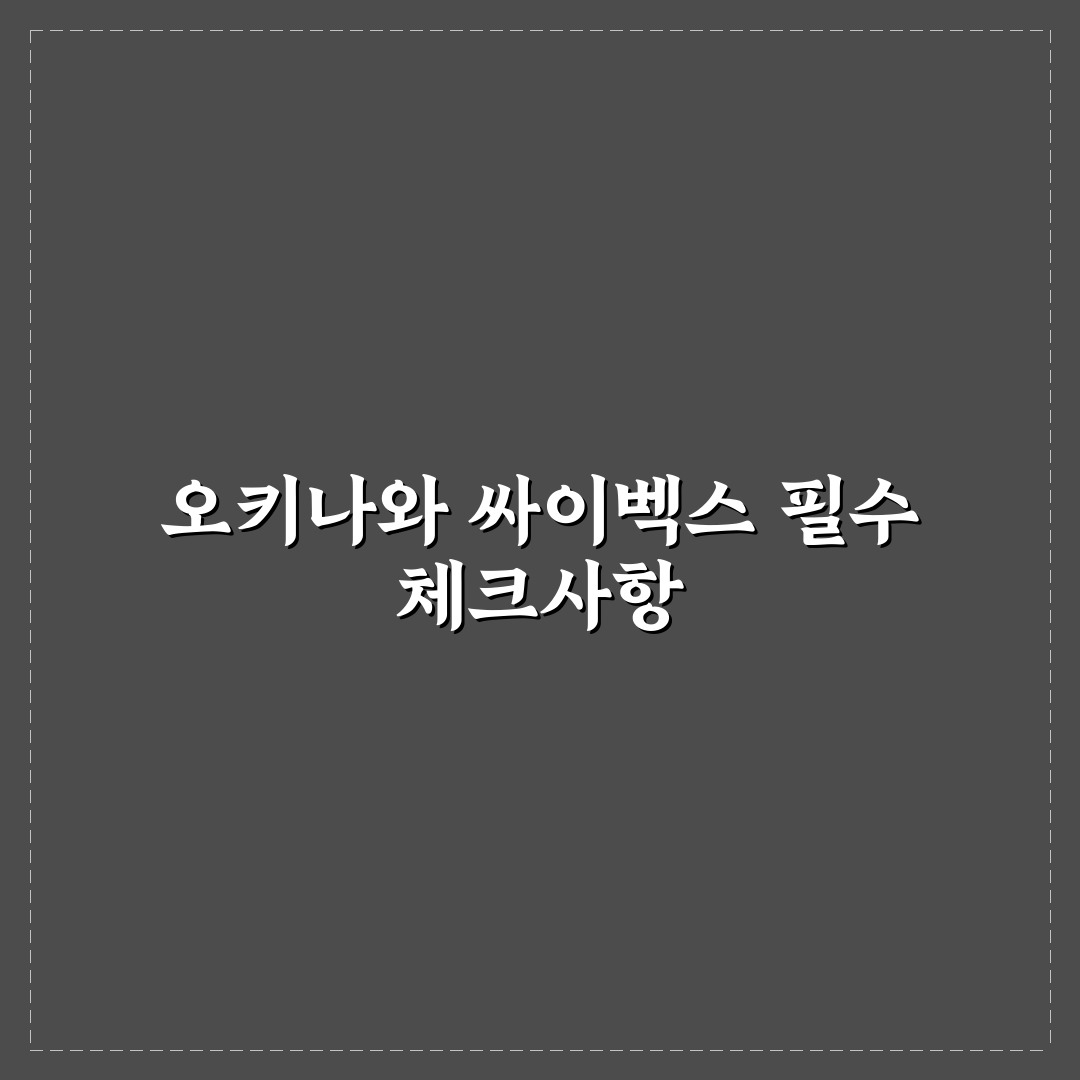 오키나와 싸이벡스 레모 비교 분석과 구매 기준 총정리