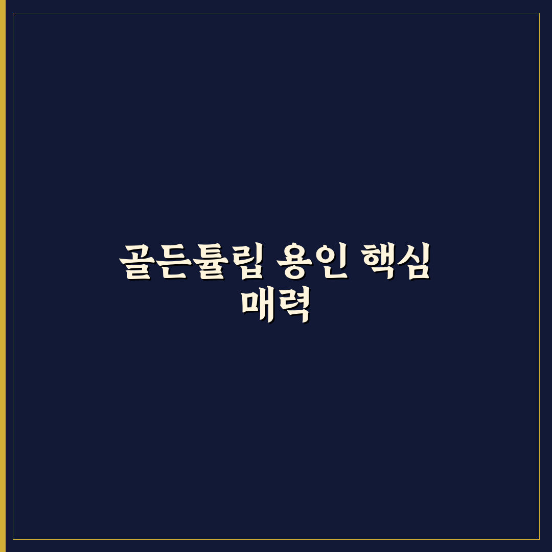 골든튤립 용인 객실·서비스 5가지 기준 비교 분석