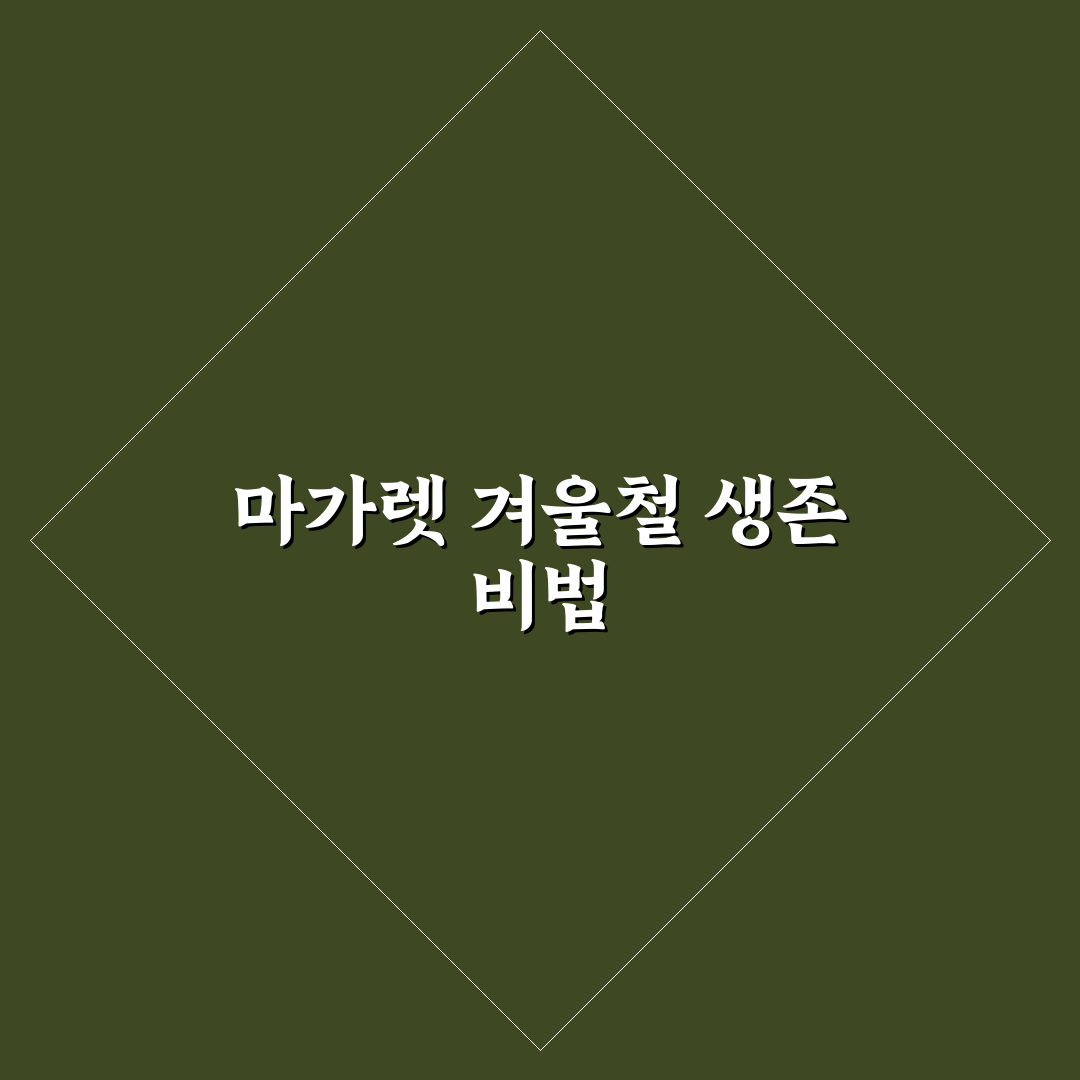 마가렛 꽃 월동을 위한 5가지 기준과 관리 체크포인트
