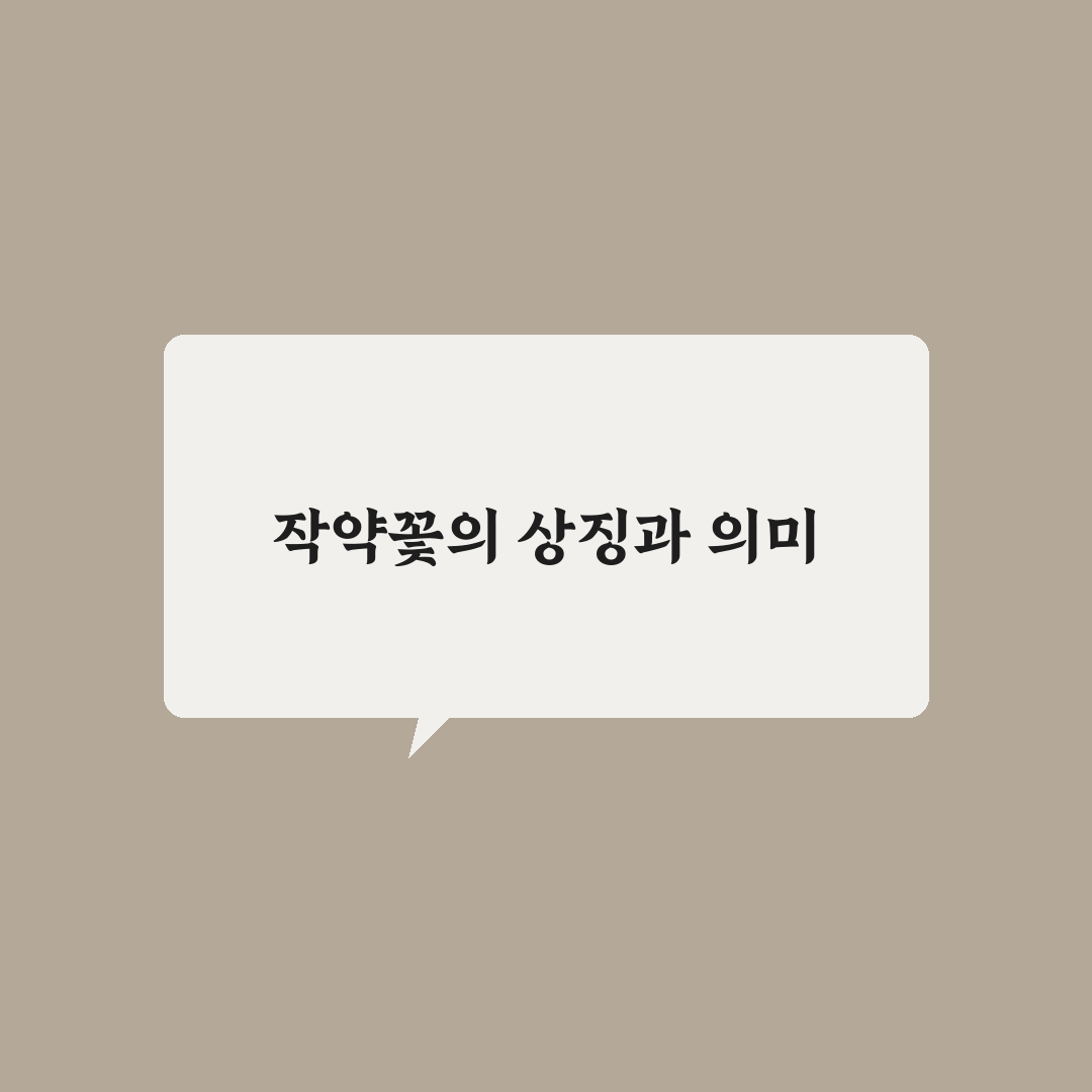 작약꽃 꽃말 총정리와 대표 의미별 비교 분석 기준