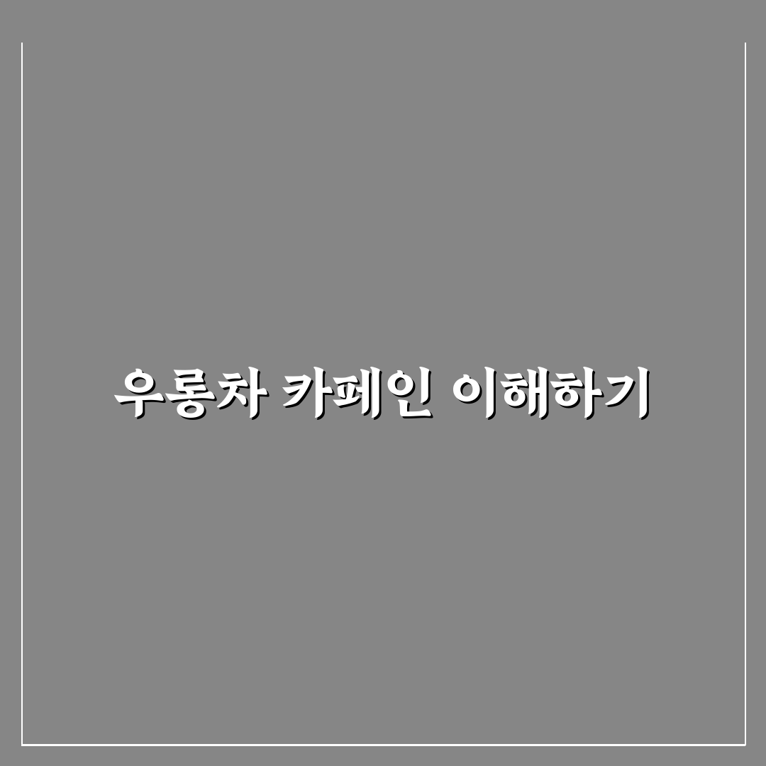 우롱차 카페인 함량과 특징 비교 및 선택 가이드