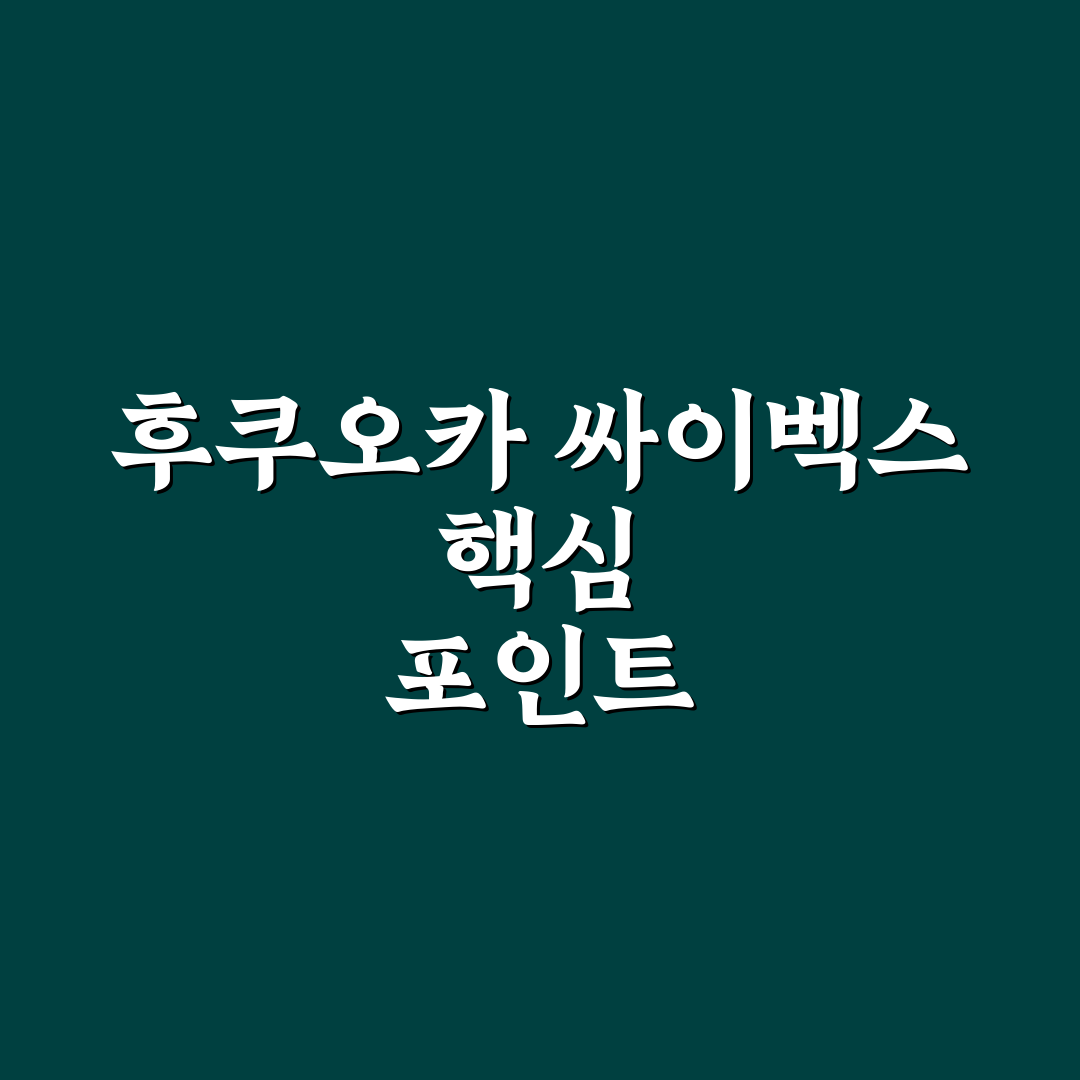 후쿠오카 싸이벡스 선택 5가지 기준별 비교와 분석