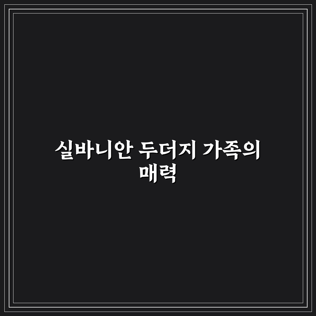 실바니안 두더지 가족 비교와 구매 기준 5가지 분석