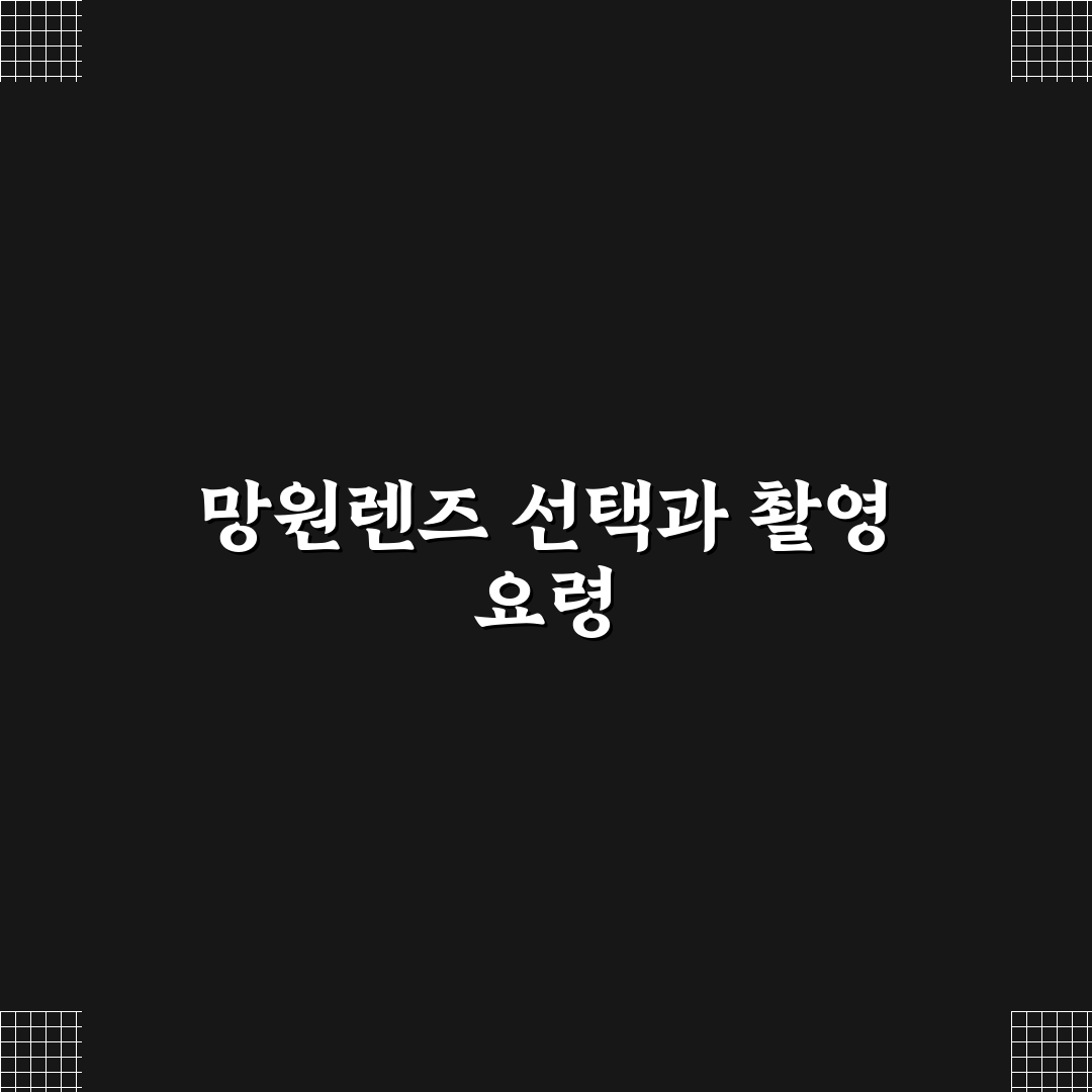 능소화 망원 촬영 기준과 5가지 체크포인트 분석