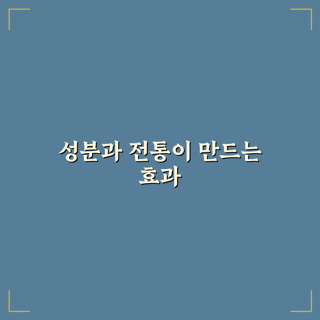 침향환 황제기력 효능과 성분 5가지 체크포인트 분석