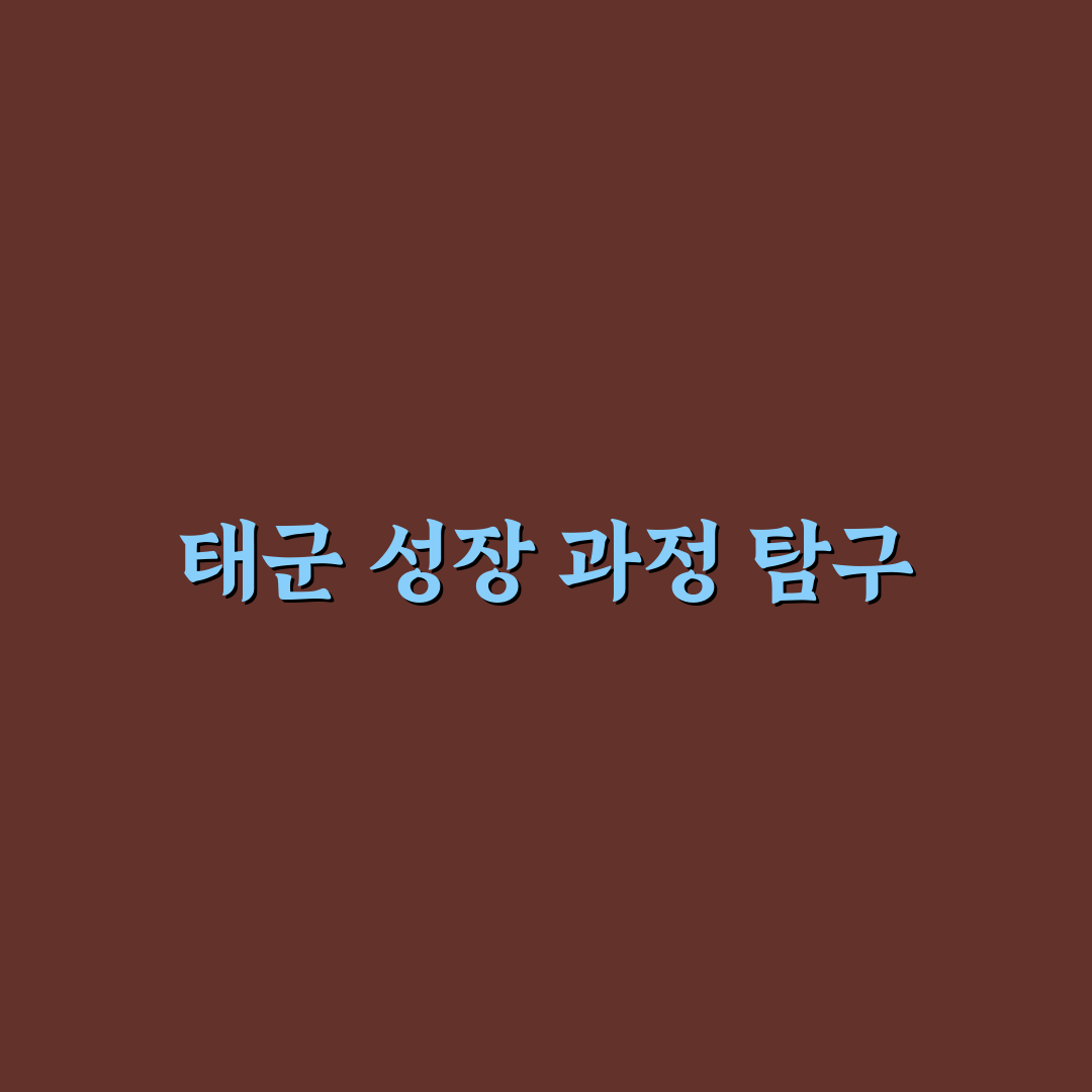 유튜버 태군 콘텐츠 전략 5가지 기준 분석 및 비교