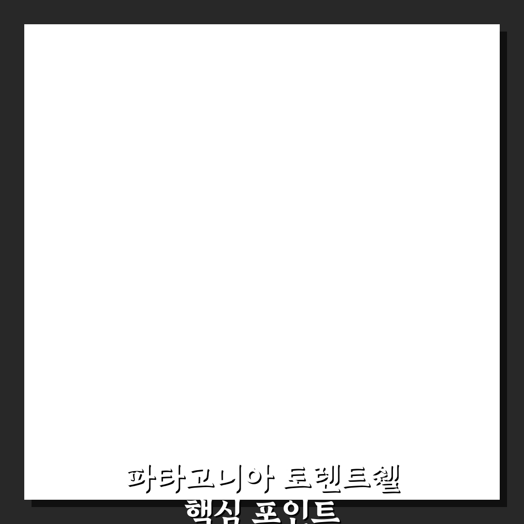 파타고니아 토렌트쉘 기능별 비교와 선택 기준 총정리