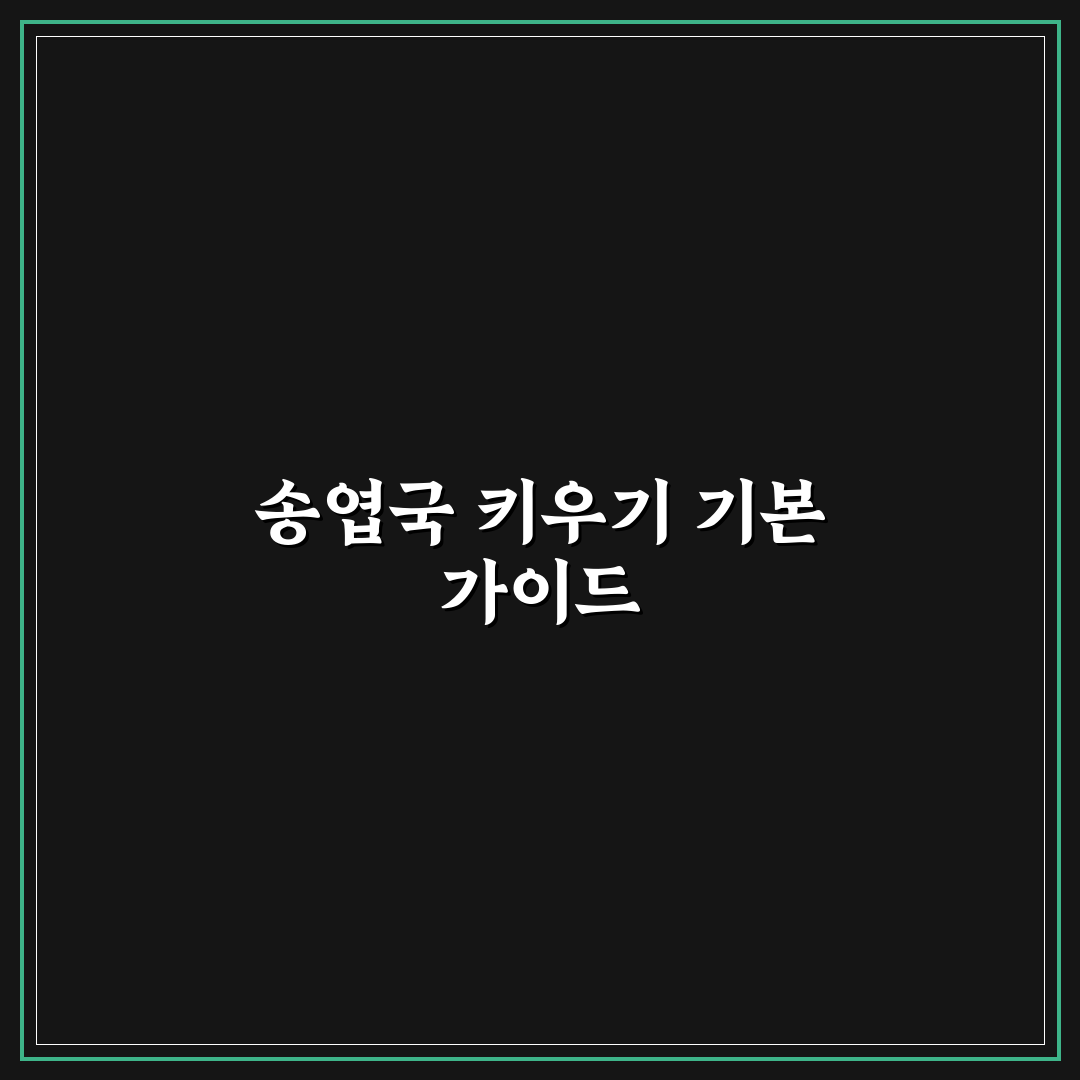 송엽국 키우기 5가지 기준별 성장 환경 분석과 체크포인트