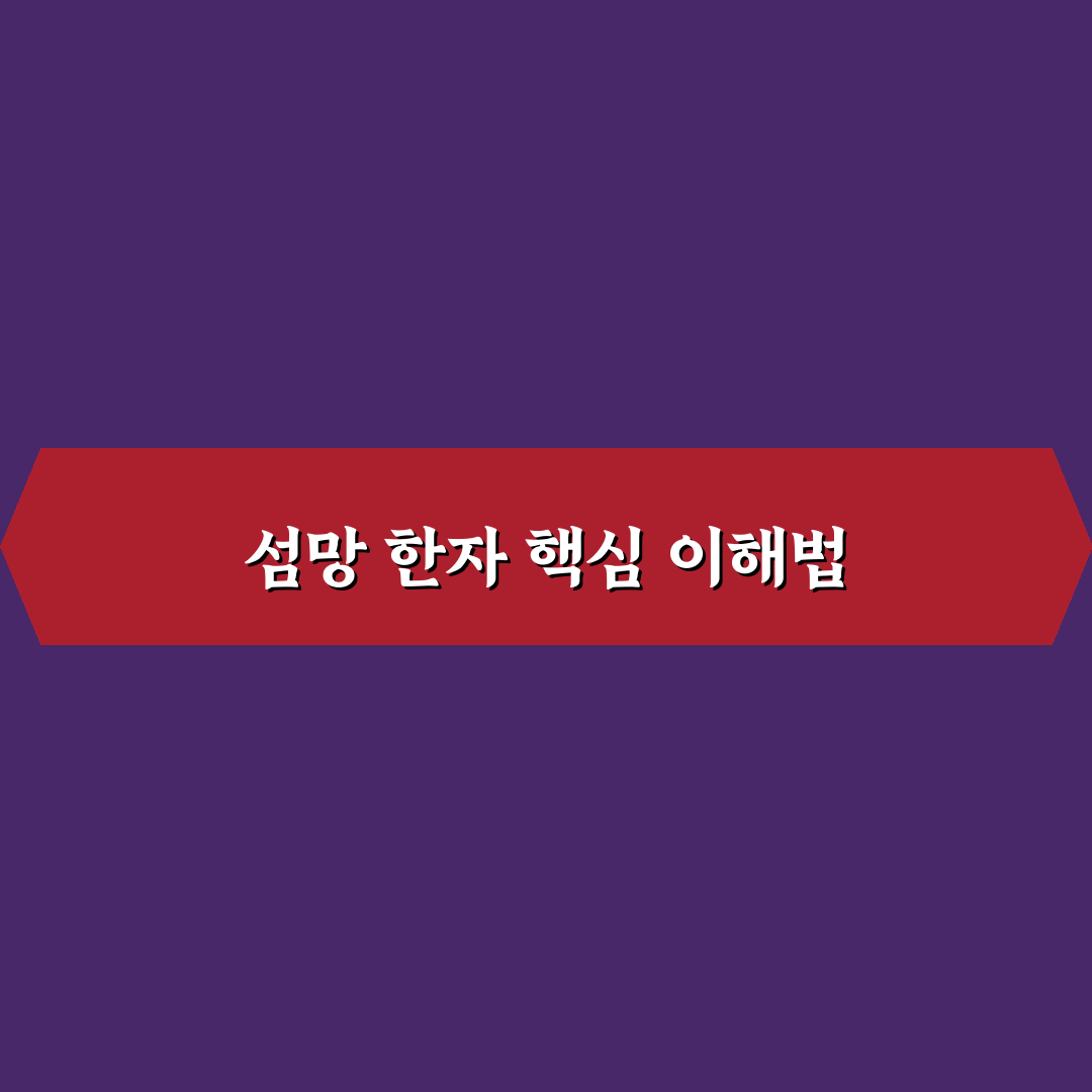 섬망 한자 뜻과 관련 용어 5가지 비교 분석 가이드