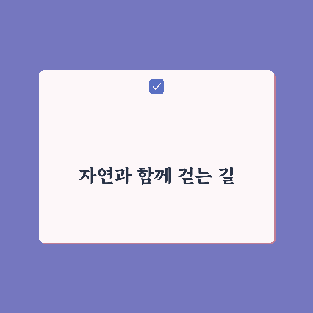 볼음도 백패킹 5가지 기준과 필수 체크포인트 분석
