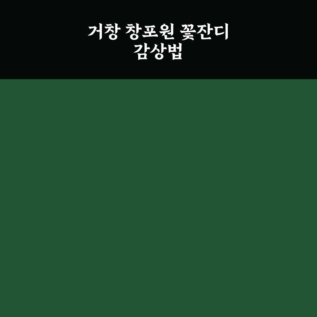 거창 창포원 꽃잔디 관리 기준과 필수 체크포인트 분석