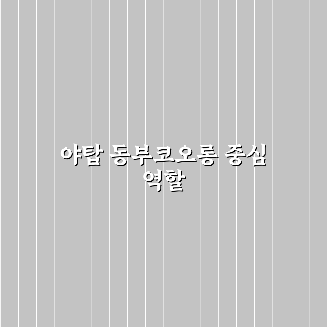 야탑 동부코오롱 아파트 단지별 5가지 비교 기준 분석