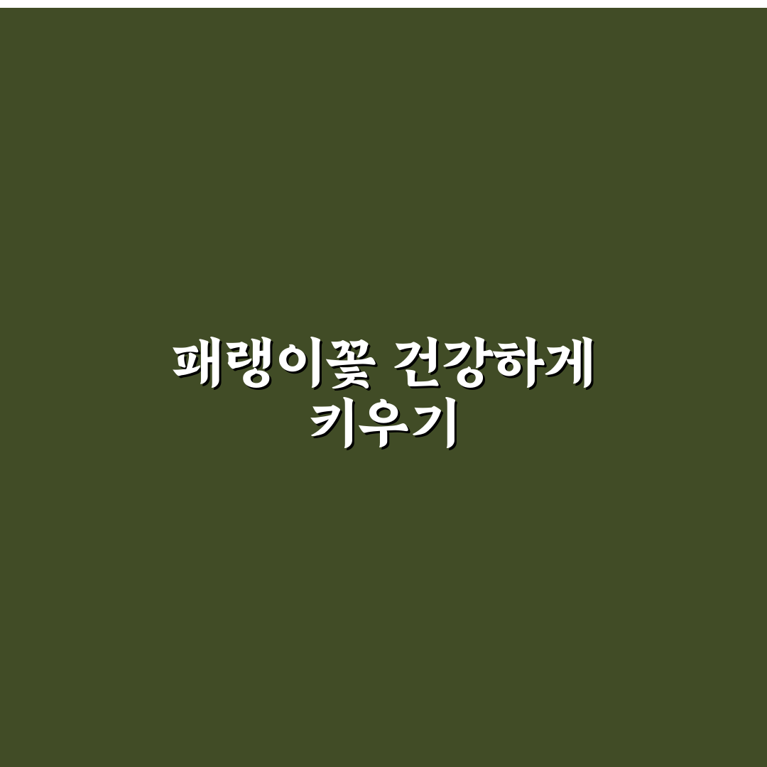 패랭이꽃 물주는법 5가지 체크포인트와 성장 기준 분석