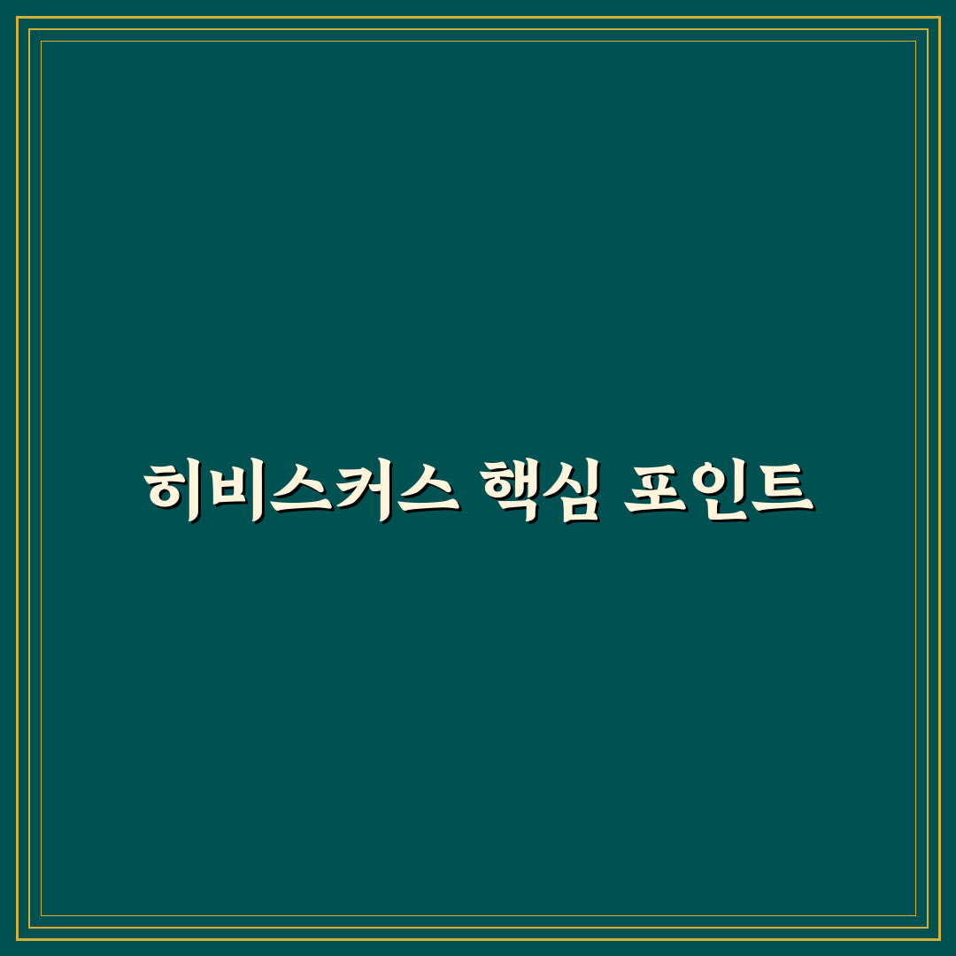 히비스커스 블룸 5가지 품질 비교와 선택 기준 분석