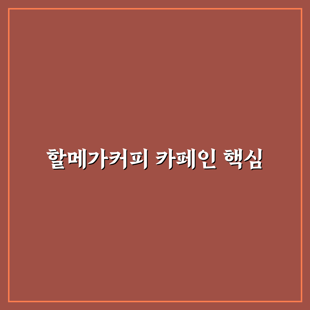 할메가커피 카페인 함량 비교와 선택 가이드 5가지