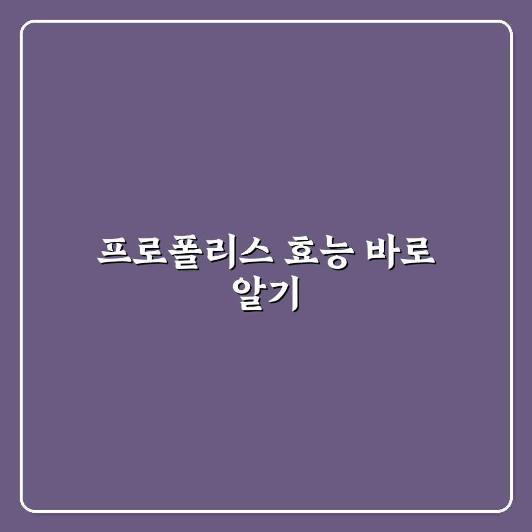 프로폴리스 캔디 효능 5가지 기준별 비교와 분석