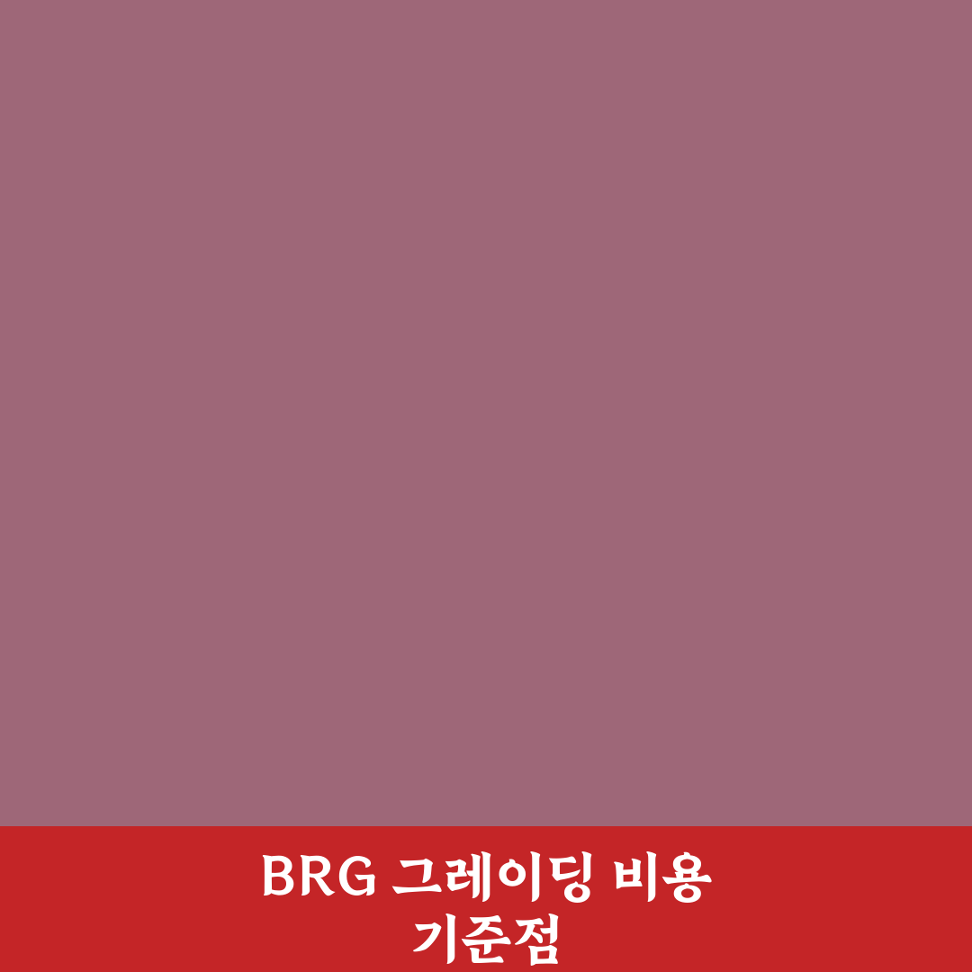 brg 그레이딩 비용 비교와 주요 체크포인트 총정리