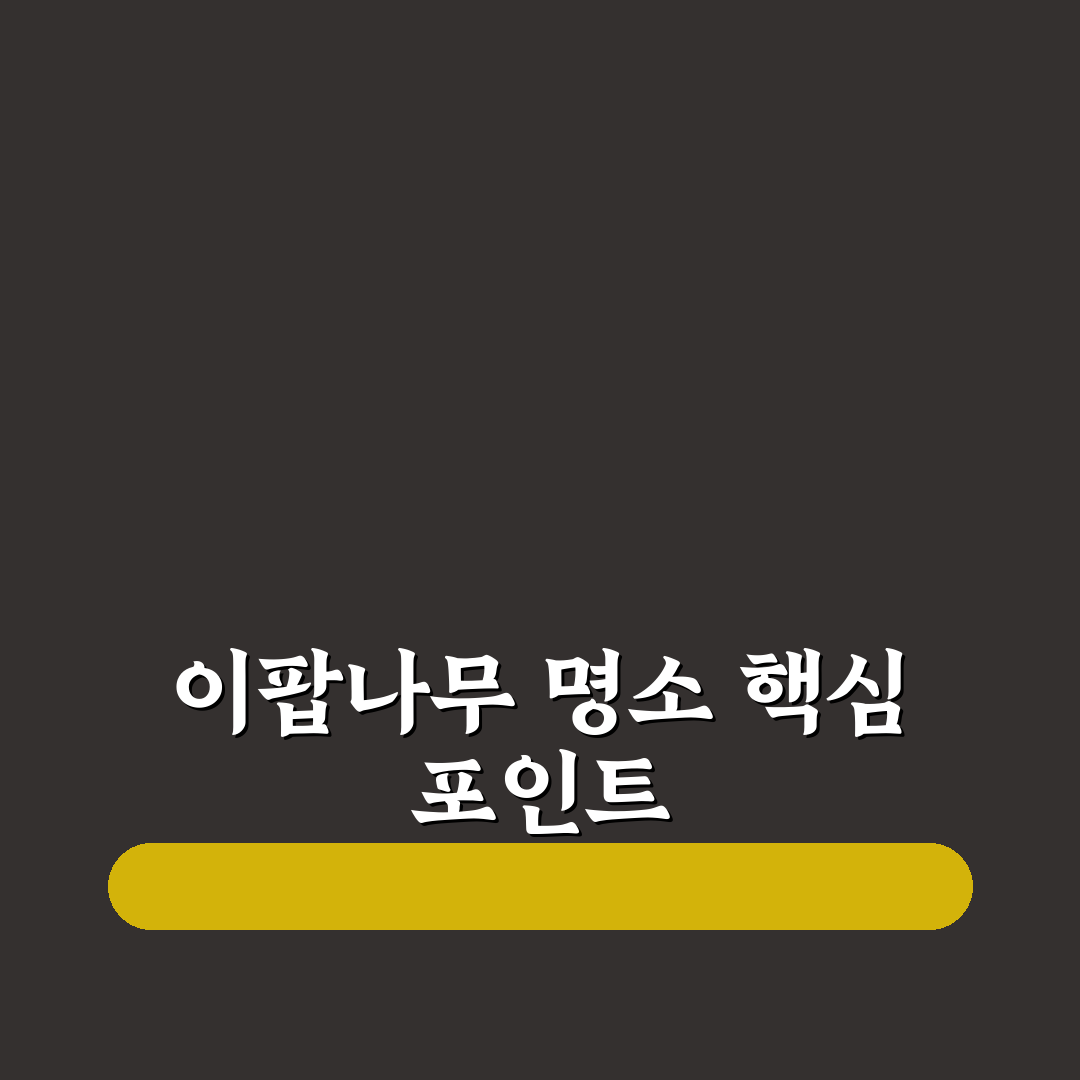 이팝나무 명소 경기도 5가지 기준별 비교와 분석 가이드