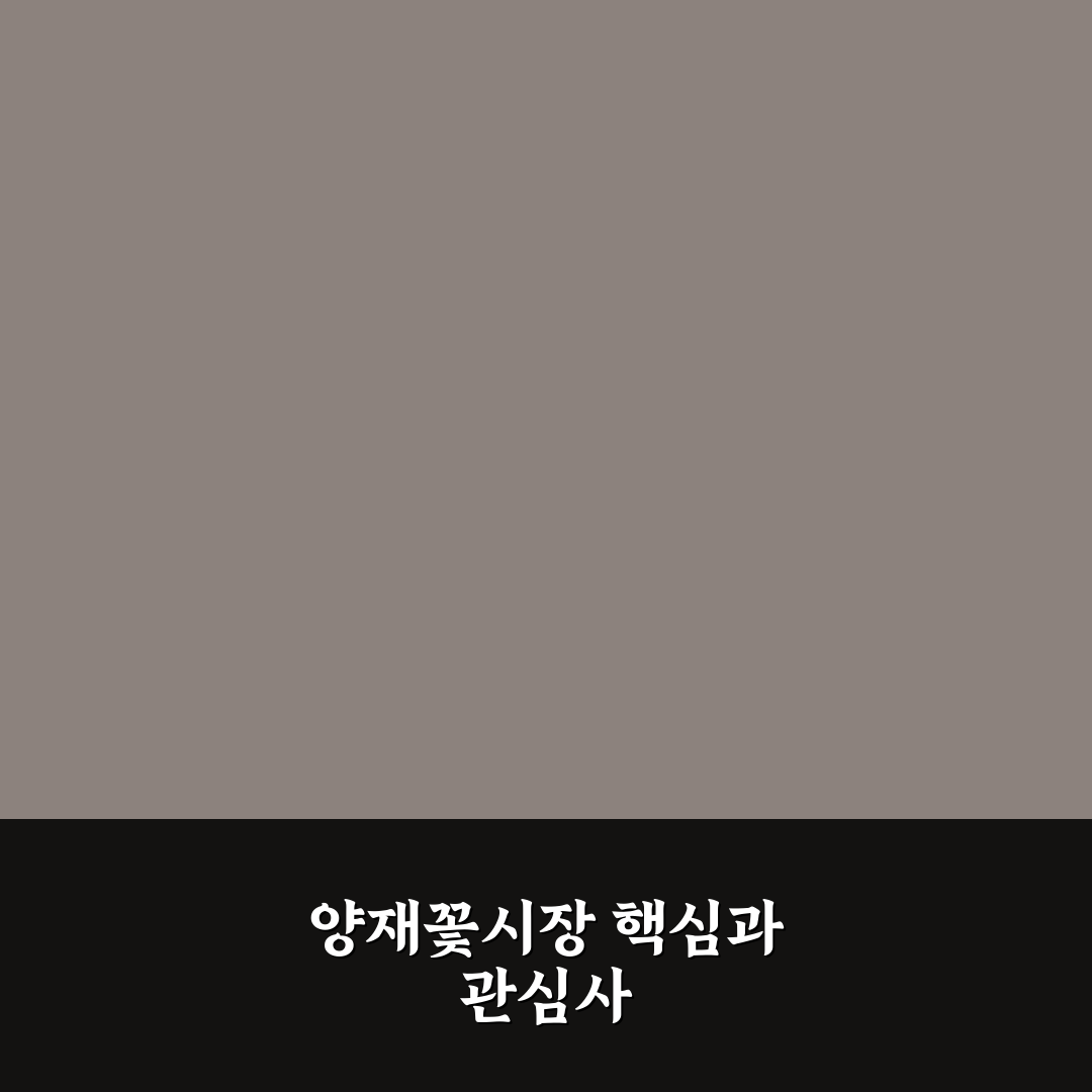 양재꽃시장 플로움 방문 전 알아야 할 5가지 기준 비교