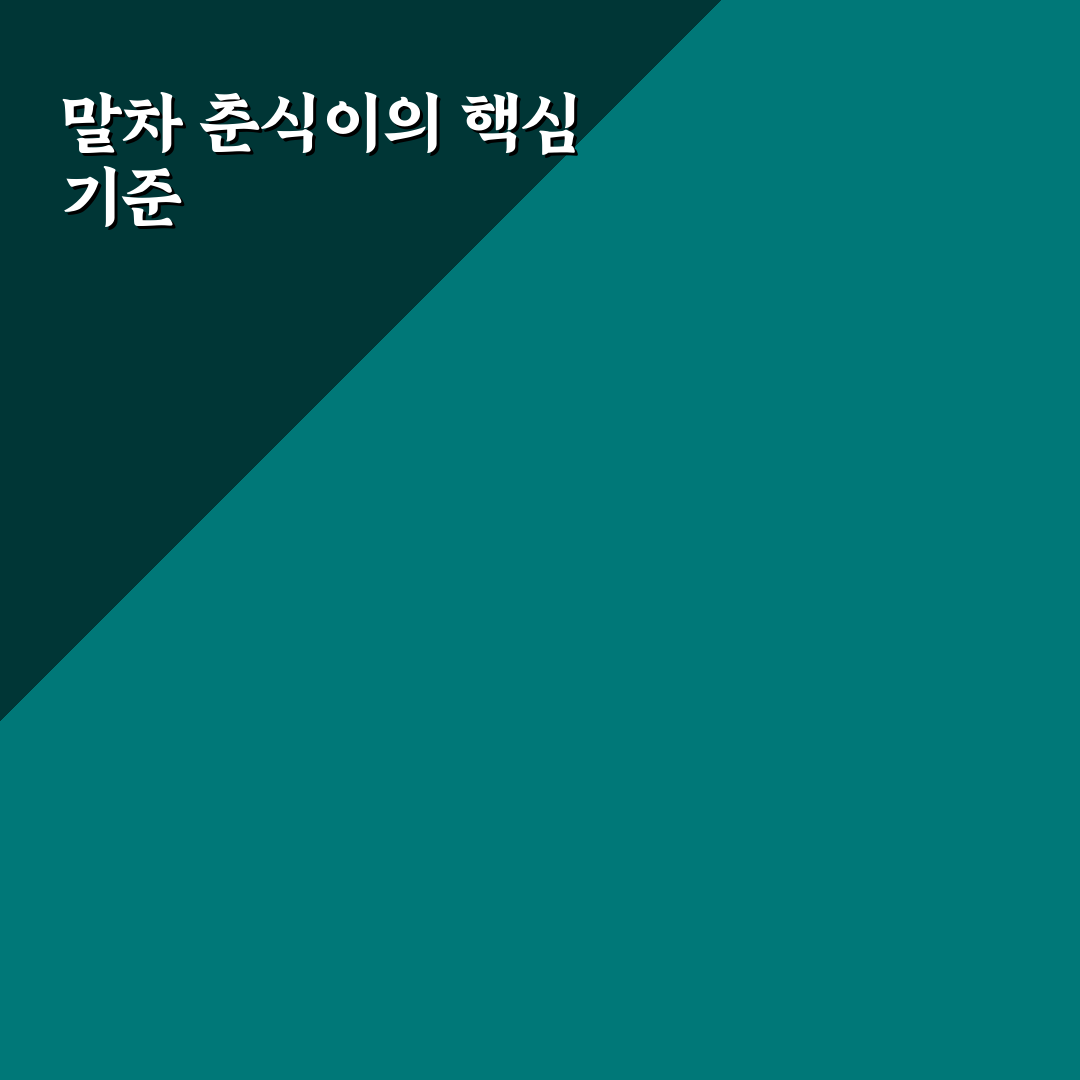 말차 춘식이 특징과 맛 비교 총정리 가이드