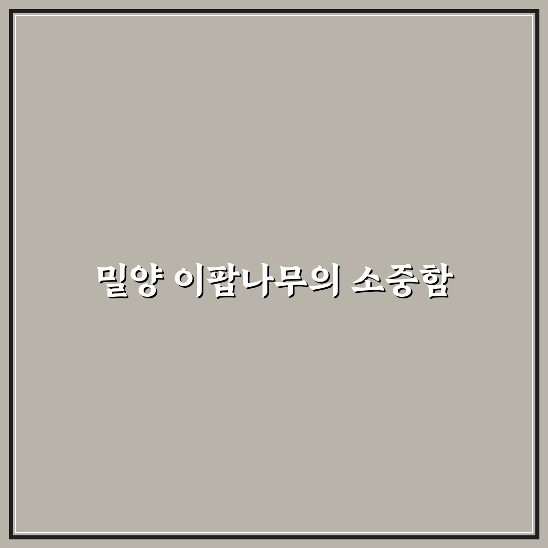 밀양 이팝나무 군락지 방문 전 5가지 체크포인트 분석