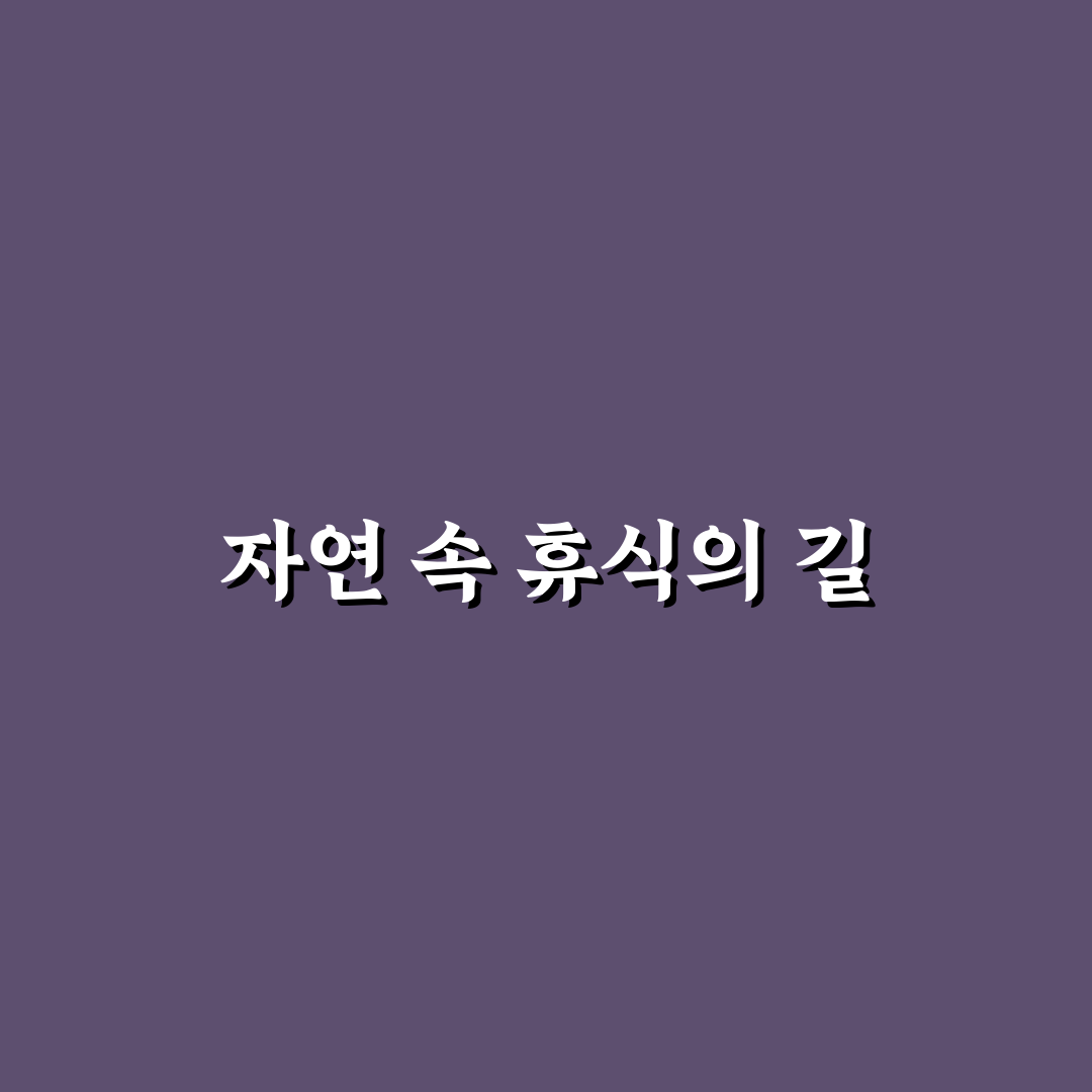 밀양댐 이팝나무 길 방문 전 체크포인트와 비교 분석