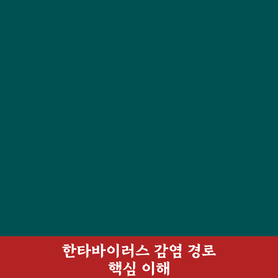 한타바이러스 감염 경로별 위험도 비교와 예방 가이드