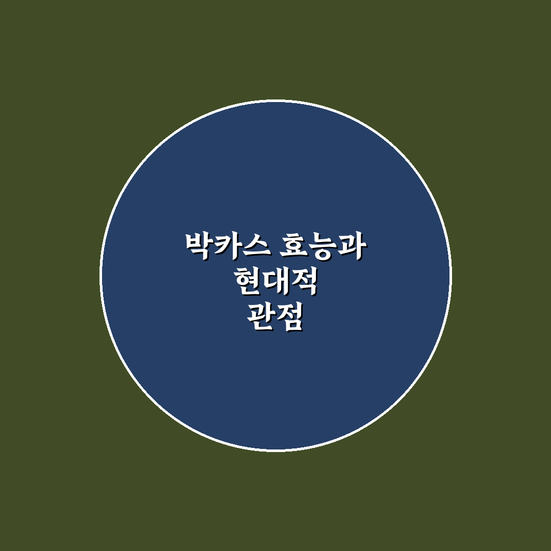 박카스 효능 5가지 기준별 효과 분석과 체크포인트