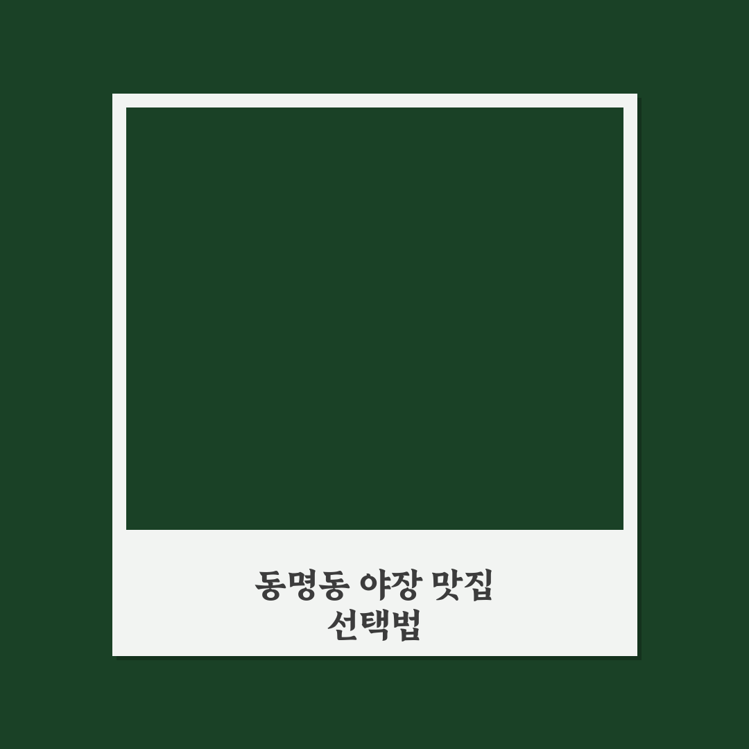 동명동 야장 술집 5가지 기준별 비교 분석 가이드