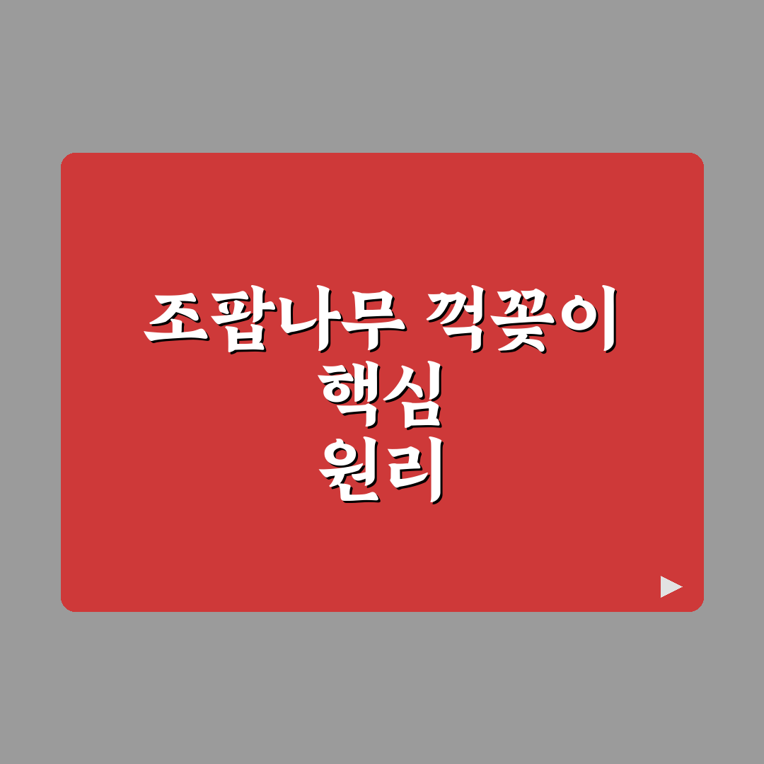 조팝나무 꺽꽂이 방법별 생장 비교와 성공 가이드